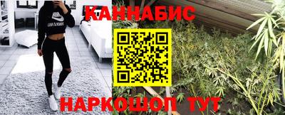 дмт Аргун