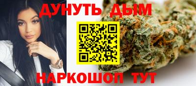 дмт Аргун